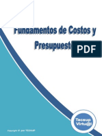 COSTOS Y PRESUPUESTOS