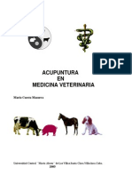acupuntura-veterinaria1