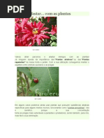 Atrair e Afastar Com as Plantas