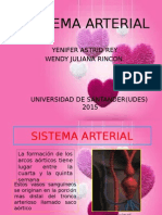 sistema arterial