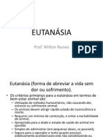 Eutanásia - Forma de Abreviar A Vida Sem