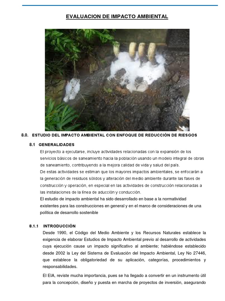 Estudio de Impacto Ambiental en Proyectos | PDF | Evaluación de impacto ...
