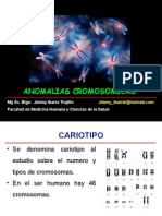 Anomalías Cromosómicas y Enfermedades Genéticas