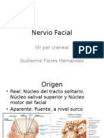 Nervio Facial