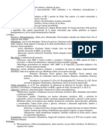 Tejido conectivo: soporte, almacenamiento y defensa