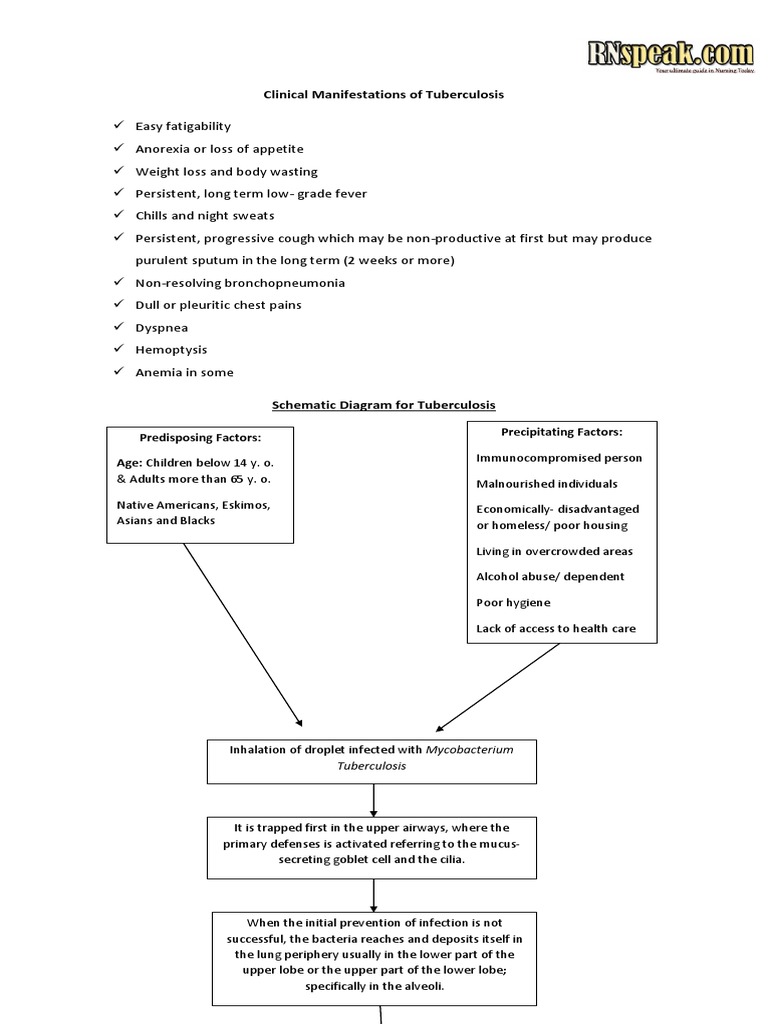 Tuberculosis Pathophysiology Overview | PDF | Tuberculosis | Necrosis