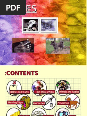 Rabies Ppt Rabies Immunity Medical