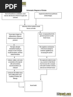 Schematic Diagram of Stroke