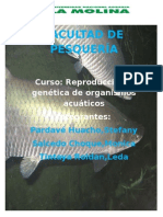 PRODUCCION DE ALEVINOS.doc