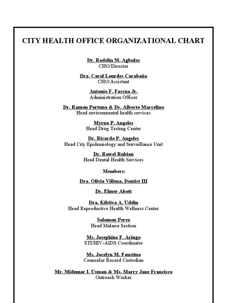 Iloilo City Health Office Structure | PDF | Patient | Nursing
