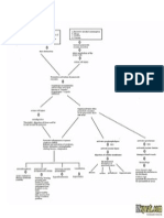 Pancreatitis Pathophysiology and Schematic Diagram