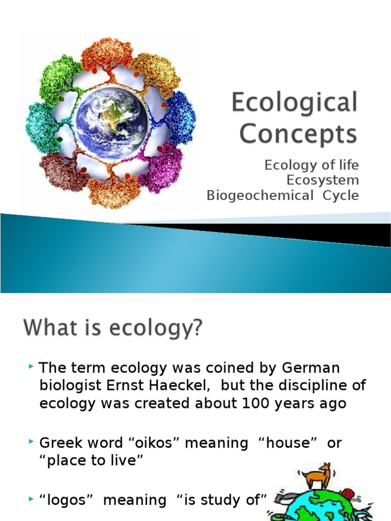 Ecological Concept | Ecology | Ecosystem
