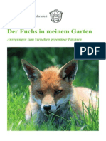 Der Fuchs