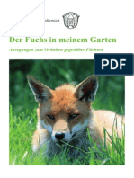 Der_Fuchs