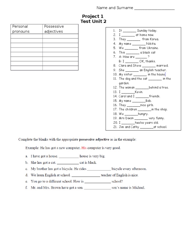 Project 1 Test Unit 2: Name and Surname | PDF | Science & Mathematics