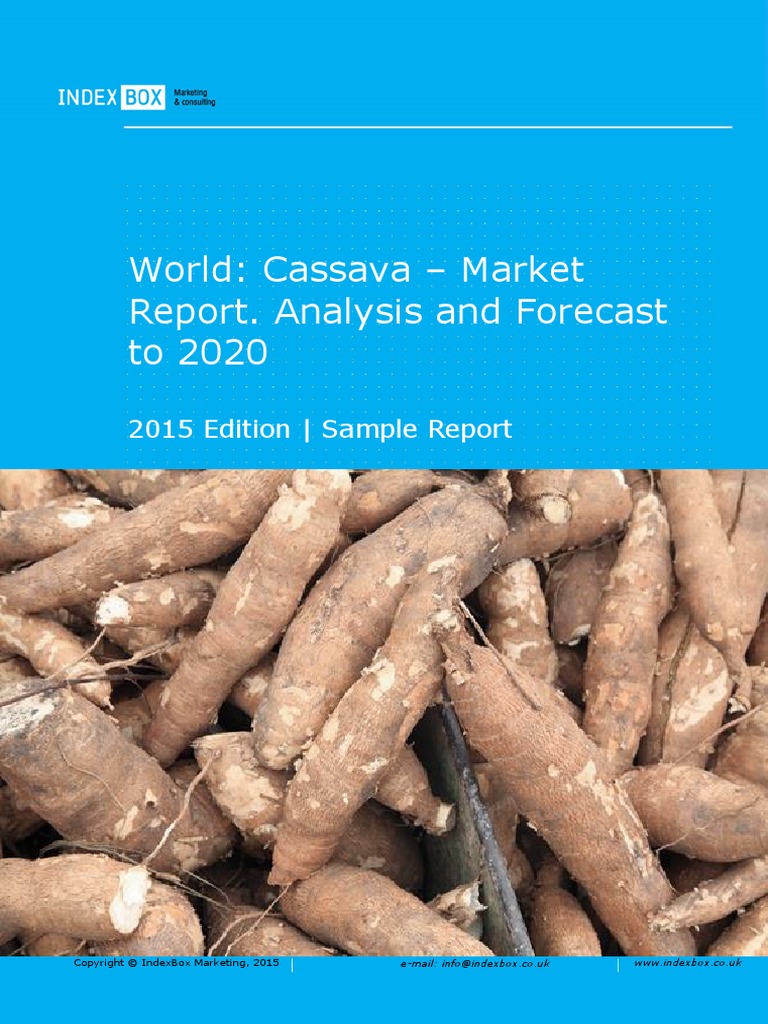 CASSAVA SCIENCES EARNINGS REPORT intelligence overview