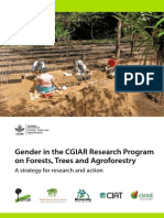 CGIAR Research Program on Forests, Trees and Agroforestry - Gender Strategy