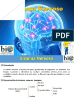 Fisiologia - Sistema Nervoso