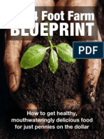 The 4 Foot Farm Blueprint