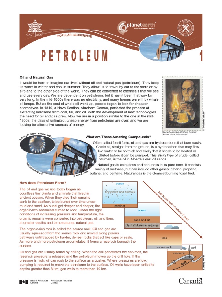 Petroleum How To | PDF | Petroleum | Natural Gas