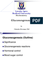 Gluconeogenesis 2015