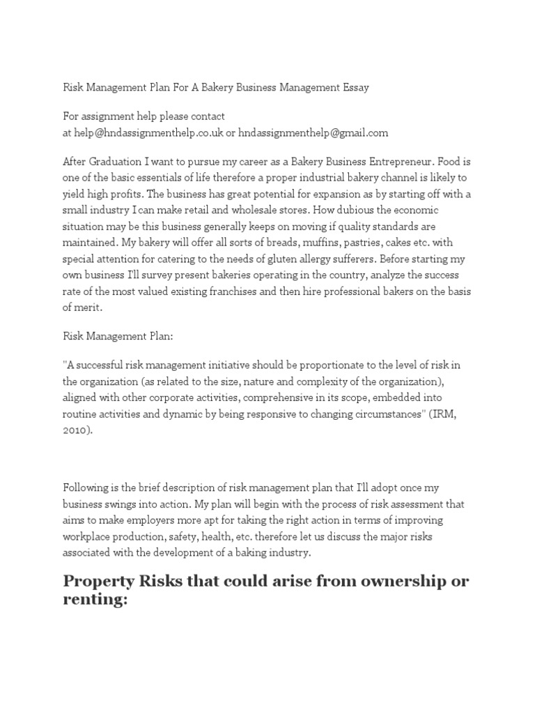 Risk management essay examples image