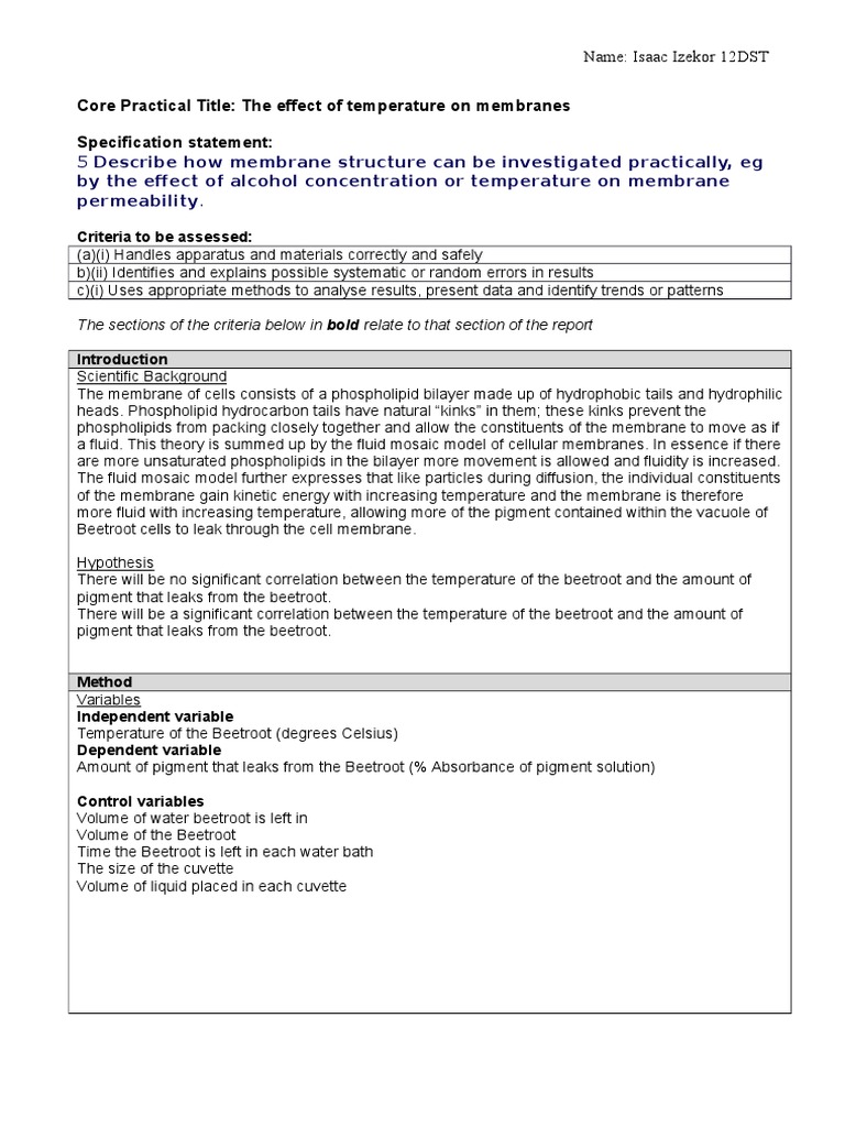 Beetroot Membrane Permeability Experiment | PDF | Phospholipid | Cell ...