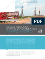 Principales actividades de exploración y producción en la FPO Hugo Chávez Frías