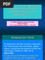 Adaptación Fetal y Neonatal,II