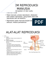 Sistem Reproduksi Manusia