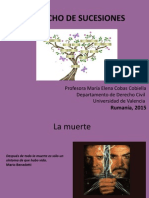 cds-privat-2015-Bien-Derecho-de-Sucesuines.pdf