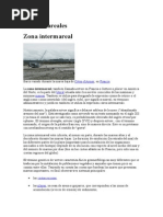 Zona Intermareal