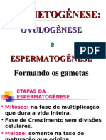 Aula Embriologia