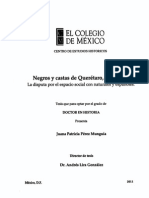 Negros y castas de Querétaro, 1726-1804. La disputa por el espacio social con naturales y españoles