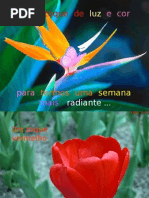 PPT de Cromoterapia - tratamento de doenças através da cor