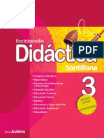 Didactica primaria 3