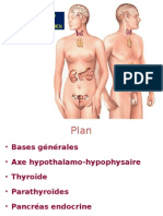 Physiologie Endocrine Partie 2