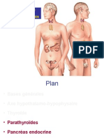 Physiologie Endocrine Partie 3