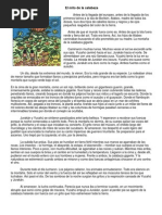 El Mito de La Calabaza