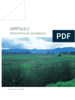 Estado Actual de Los Humedales Urbanos PDF