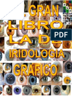 El Gran Libro de La Iridologia Grafico 2014