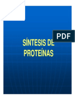Proteinas Sintesis (Modo de Compatibilidad) PDF