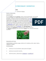 Plantas Medicinales y Aromatica1