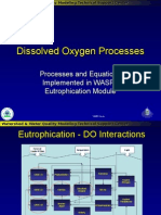 Dissolved Oxygen Processes