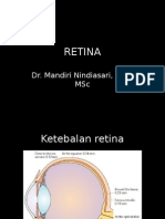 Retinal disorders overview