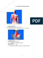 Biomecanica LP 3