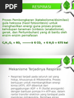 Download FOTOSINTESIS DAN RESPIRASIppt by TrisdaDesandraEmilia SN279442623 doc pdf