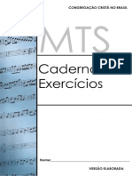 Caderno Exercicios - MTS