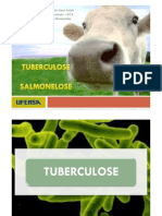 Tuberculose e Salmonelose