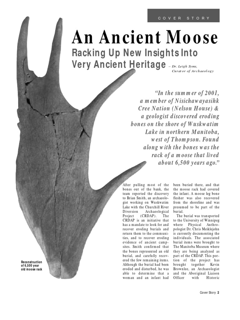 ANCIENT MOOSE SPECIES intelligence overview